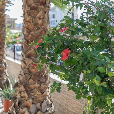 Villa Luxsuites Chania (Crete)